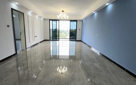 EXQUISITE 2 BEDROOM APARTMENT ON LAVINGTON – RIARA ROAD.